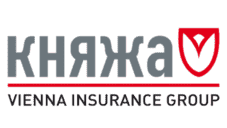 Княжа Вієнна Іншуранс Груп
